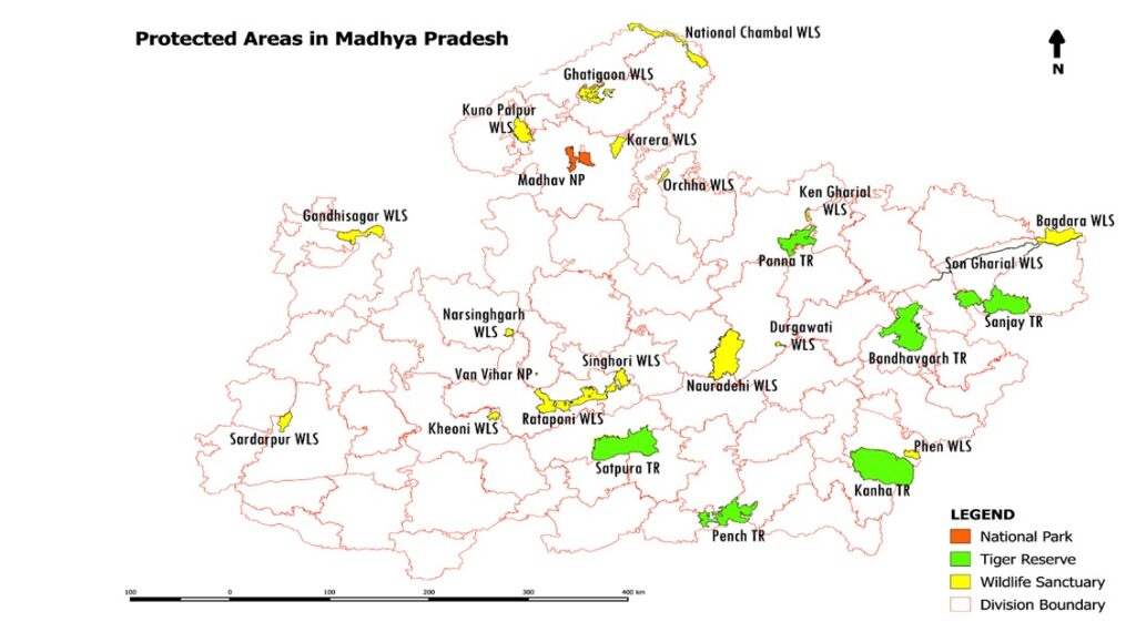 Madhya Pradesh national park